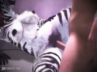 Zebra got fucked by beastiality lover man